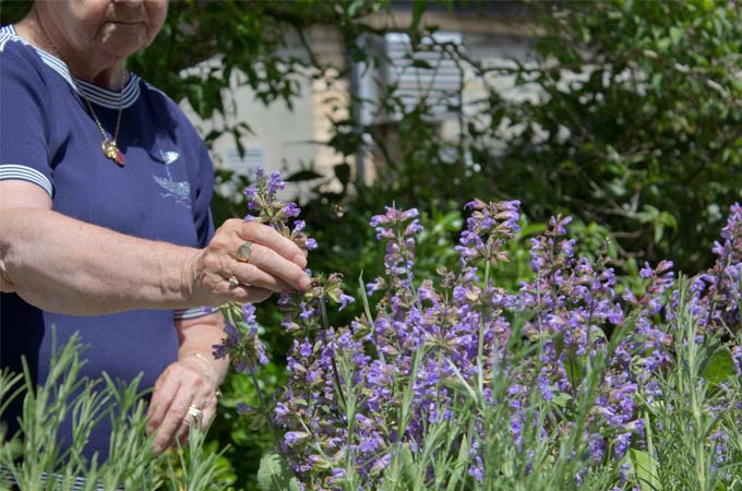 Parkside House sensory garden