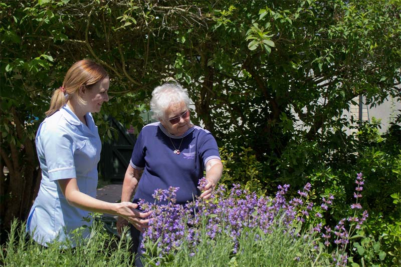 Parkside House Sensory Garden